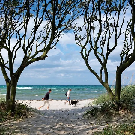 Ostsee Residenz Meeresblick Albatros Остров Пёль