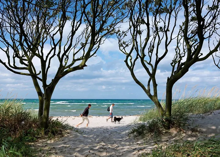 Ostsee Residenz Meeresblick Albatros インゼル・ペール